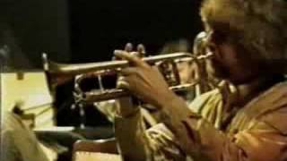 Ostrich Walk - Dutch "Bix 100" project # 5