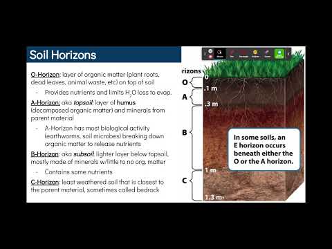 2.2 Soil Formation & Erosion | Unit 2 | AP Environmental Science