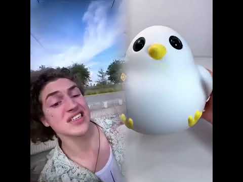 POV Pisas una RAYA!! 💀😱🔥