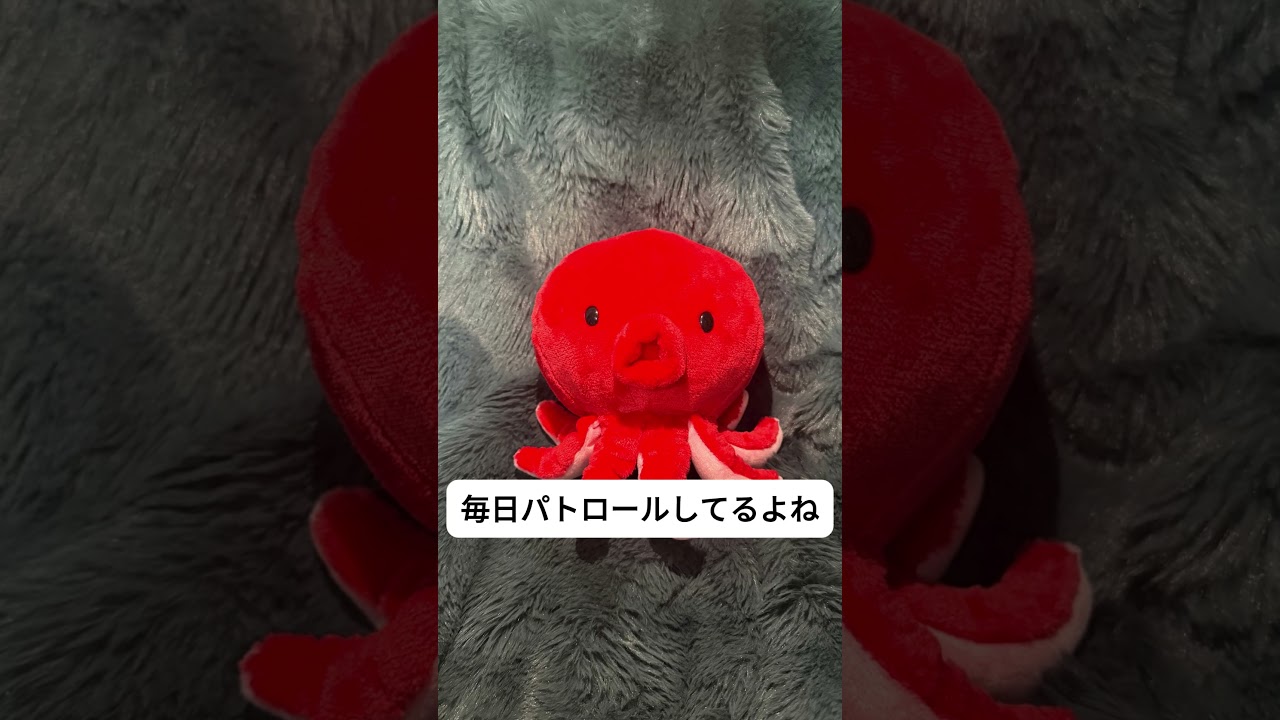 #9 元恋人、監視しちゃうよね