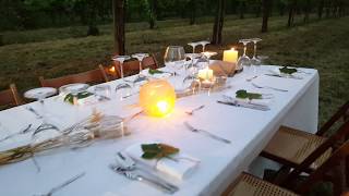 Cena in vigna Veneto: brinda sotto la Bellusera!