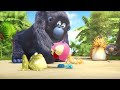 The Jungle Bunch And The Owl Co Season