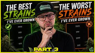 I Ranked Every Strain I’ve Ever Grown (The Best Genetics I've Ever Grown)  PART 3