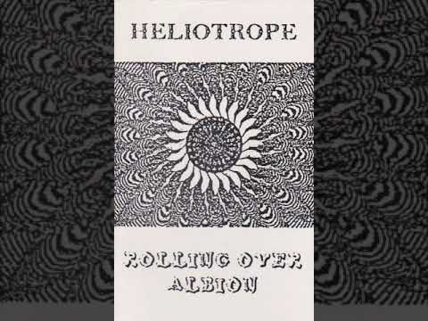 Heliotrope