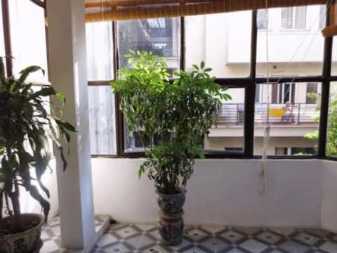 Cheap beautiful house for rent in Tay Ho dist, Hanoi, Viet Nam. Its nearby West Lake