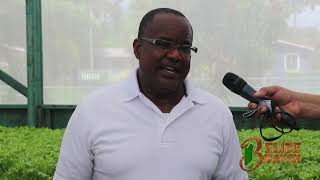 Belize Watch   Hydroponics