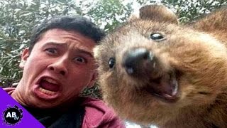 Happiest and Cutest Animal in the World! 5 Weird Animal Facts - Ep. 43