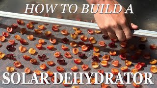 How I built a Solar Dehydrator for $20 - Full Build Tutorial