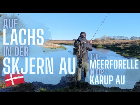 Fishing in Denmark - Salmon and Seatrout Hunting in Skjern A and Karup A