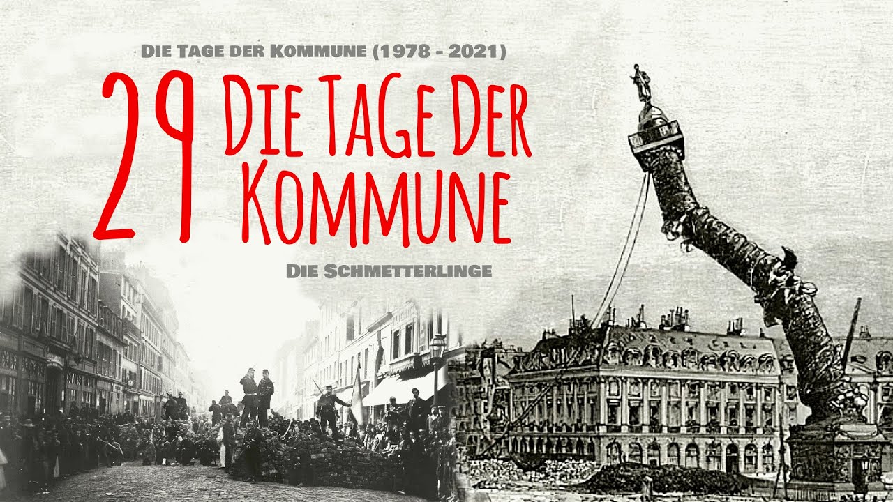 Die Schmetterlinge