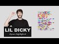 Lil Dicky on Bruh... - Lyrics, Rhymes Highlighted (131)