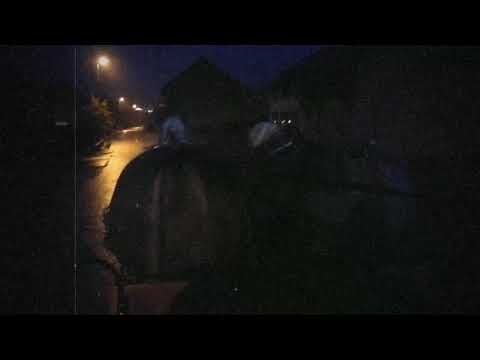 1. Advents-Fahrt 2018 - Die Fuhrhalterei