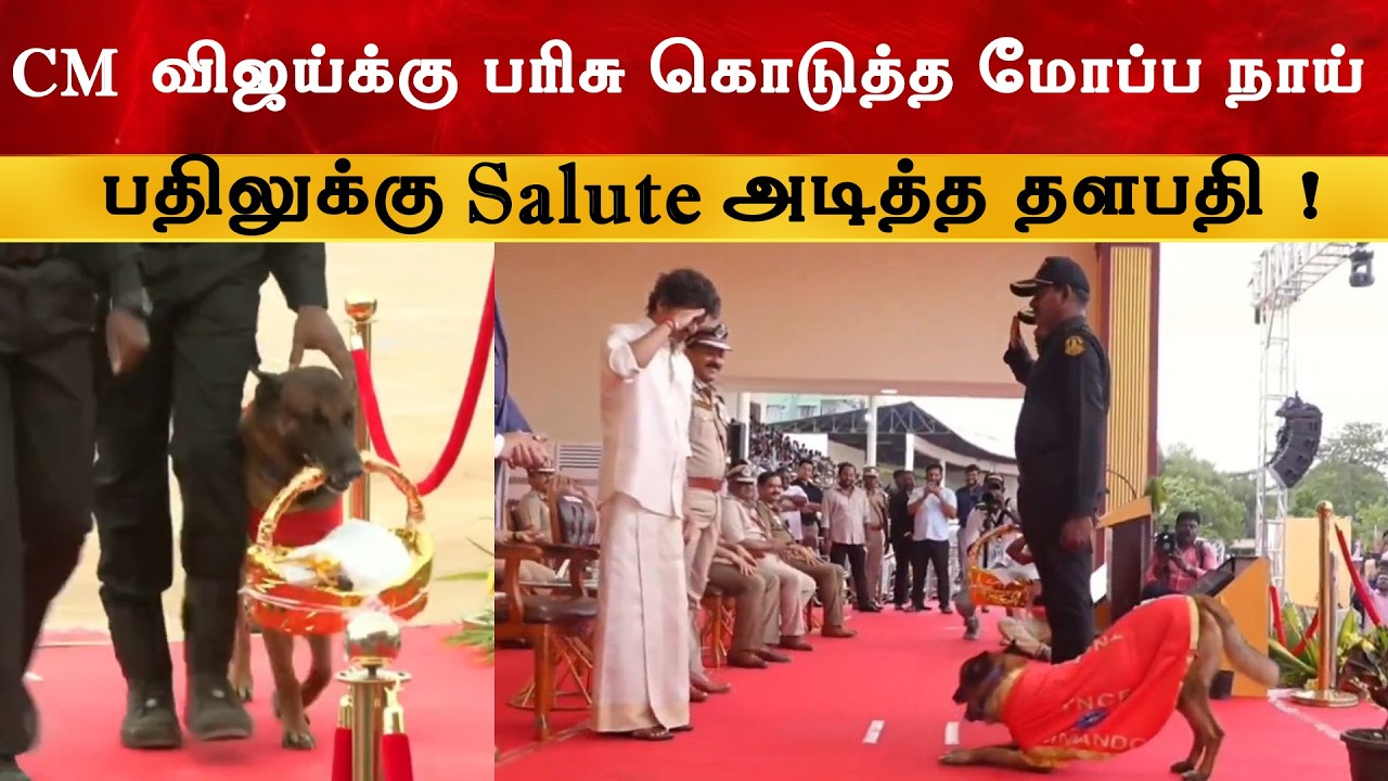 CM Vijay க்கு பரிசு கொடுத்த மோப்ப நாய் | Thalapathy | TVK