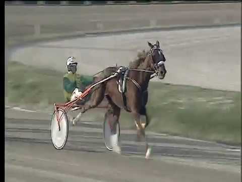 Trotto 26/11/2017 - 1ª corsa