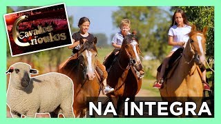Miniatura do vídeo