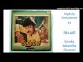 Nammaku Nammaku Ee Reyini Ilayaraja Digitally Remastered Rudraveena Telugu Audio Hit Song