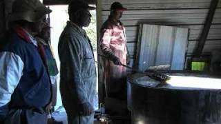 preview picture of video 'Sugar Cane Syrup Making'