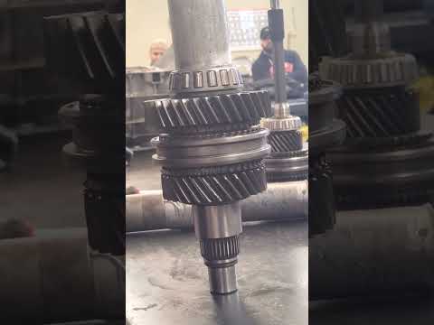 Ford Ranger Transmission. M5R1 - Reassembly output shaft