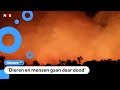 Brazilië stuurt militairen naar Amazone om branden te bestrijden