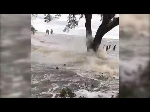 IRMA Storm Surge Jacksonville Florida Flooding Homes Raw Footage Breaking News September 2017 Video