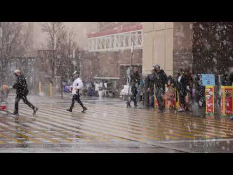 03-13-2021 Denver, CO - Major Snowstorm Begins - 1800 Flights Cancelled at DIA- Accumulations Start