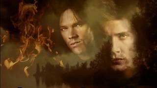 Silentivm - Leave The Fallen Behind