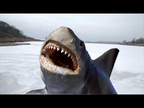 Kevi Anavi - Can You Feel it | Ipsum Records