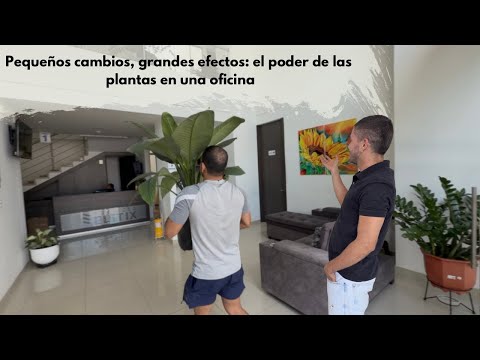 Helping a friend choose the perfect plants for their office