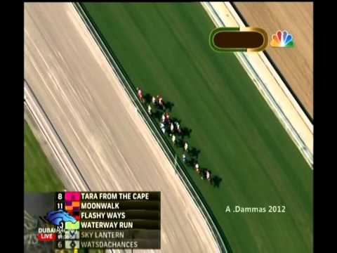 Breeders' Cup Juvenile Fillies Turf 2012 G1   Flotilla