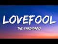 The Cardigans - Lovefool (Lyrics)