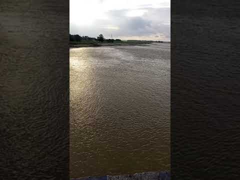 What's Holding Back The River Vidio Industry?, 20 Insightful Quwhat's Holding Back The River Vidio