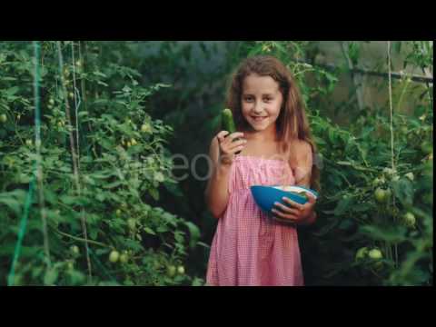 Curly Girl in a Pink Dress Harvested Cucumbers