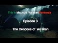 This is Mexico's Yucatan Peninsula - Episode 3 - The Cenotes of Yucatan - in 4K UHD