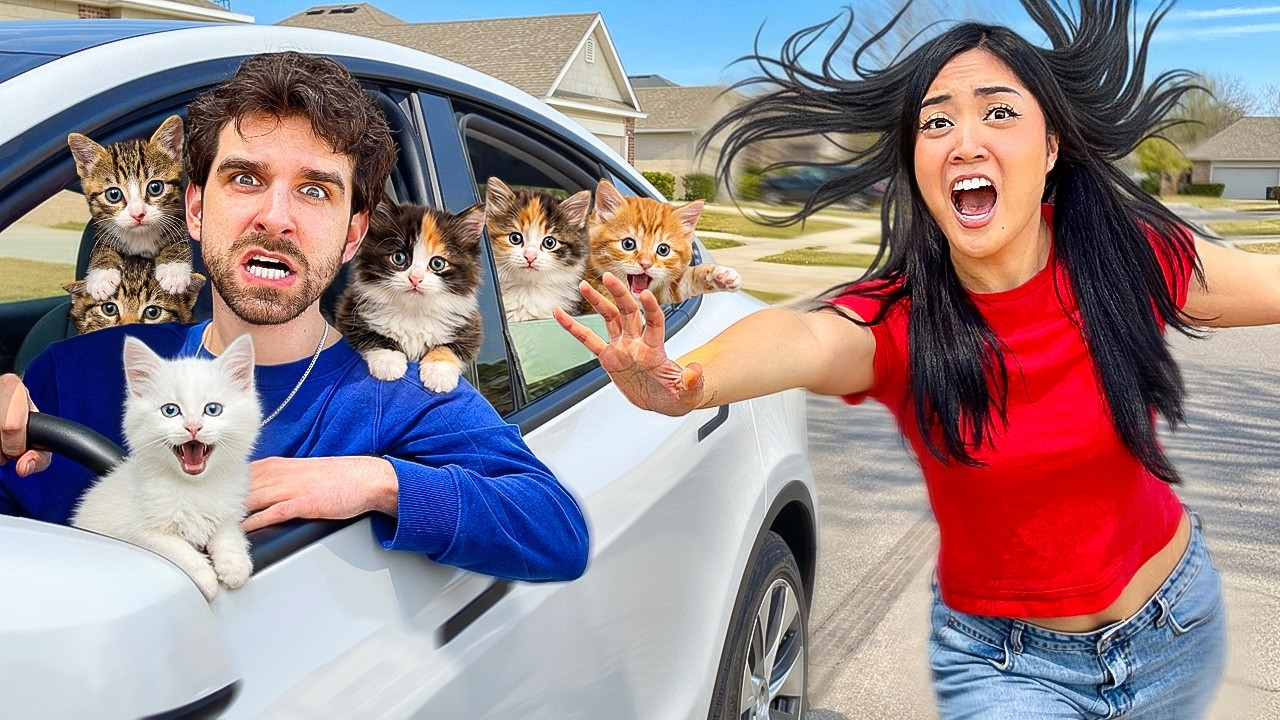 My Roommate KIDNAPPED My CATS (I'll Never See Them Again)