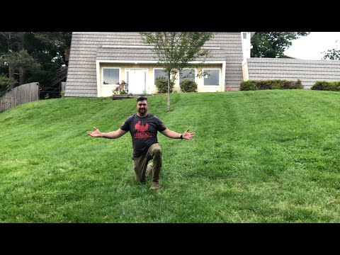 Spring 2024 Lawn treatment from WEEDS to GRASS! #tennessee #grass #weeding #fertilizer