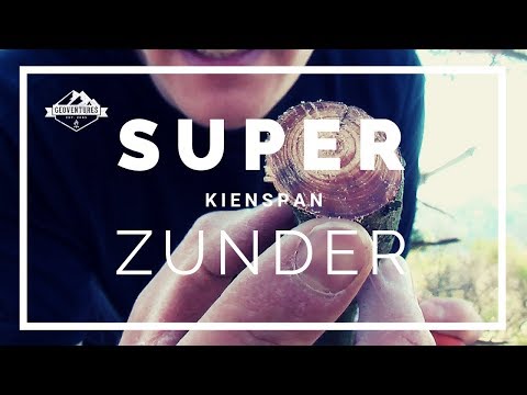 KIENSPAN suchen und finden - KIEFER erkennen