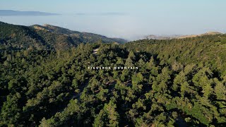 Figueroa Campground