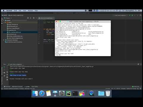 Alluringmind Python Intro Program Input Arguments