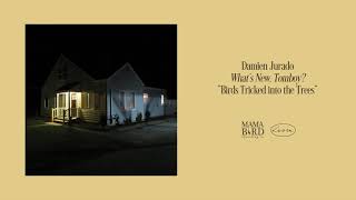 Damien Jurado - &quot;Birds Tricked into the Trees&quot; (Art Track)