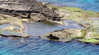 ראש הנקרה תצפית