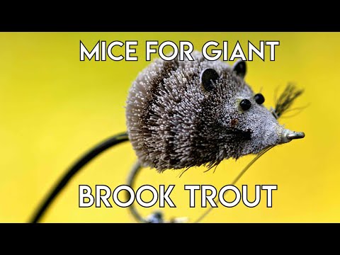 Mice for Giant Brook Trout with Tom Rosenbauer