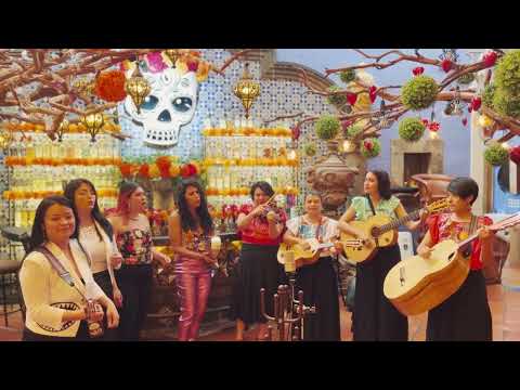 Catalina Avila, Las Coronelas - La Pelona (en vivo)