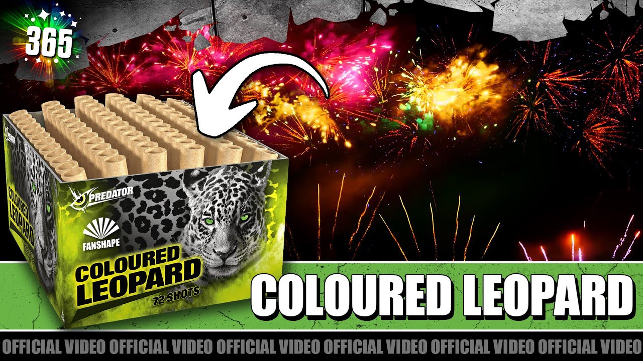 Video Coloured Leopard