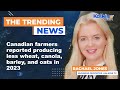 Canadian farmers reported producing less wheat, canola, barley, and oats in 2023