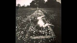 Seraphim Shock - After Dark