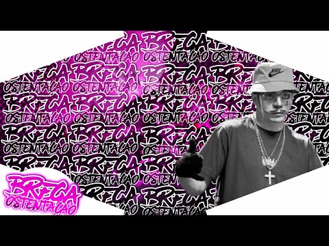 ⭕ BREGA TIK TOK 2021  HIT DO TOME - MC ANÔNIMO
