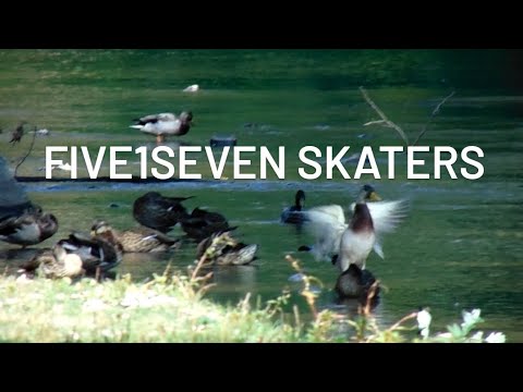 FIVE1SEVEN SKATERS|517 SKATERS SONY CYBER-SHOT EDITION