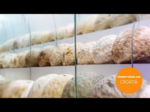 EDEN 2017 - Vukovar-Vučedol-Ilok (Croatia)