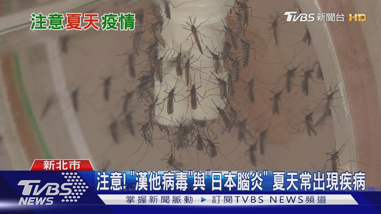 夏天染上「這疾病」 共同點「發燒」病重恐死亡