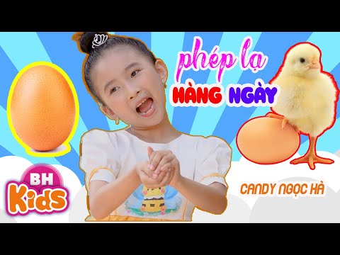 Phép Lạ Hằng Ngày ♫ Candy Ngọc Hà ♫ Nhạc Thiếu Nhi Vui Nhộn [MV 4K]